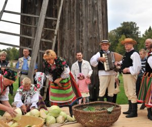 Wykopki w Skansenie Wykopki w Skansenie