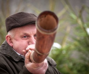 Galeria z 6 grudnia 2014