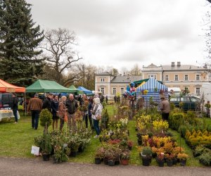 Jarmark św. Wojciecha 2016 Jarmark św. Wojciecha 2016