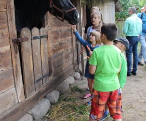 XVI Podlaskie Święto Chleba XVI Podlaskie Święto Chleba