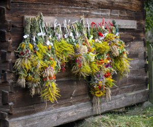 XXII Podlaskie Święto Chleba - fotorelacja