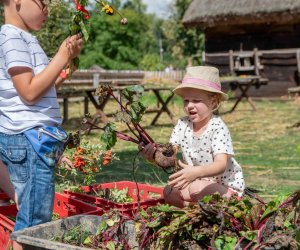XXII Podlaskie Święto Chleba - fotorelacja XXII Podlaskie Święto Chleba - fotorelacja