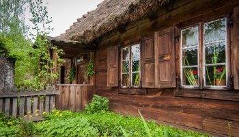 Ludowe Zielone Świątki - święto kościelne Zesłania Ducha Świętego, zamykającego cykl Wielkanocy 15 maja 2016 r.