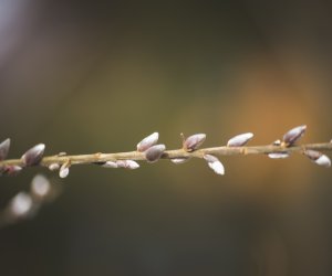 Nie ja biję, palma bije Nie ja biję, palma bije
