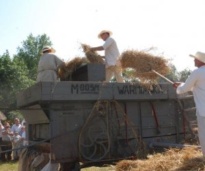 IX Podlaskie Święto Chleba IX Podlaskie Święto Chleba