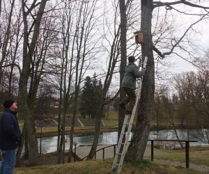 Zimowe Ptakoliczenie 2016 Zimowe Ptakoliczenie 2016