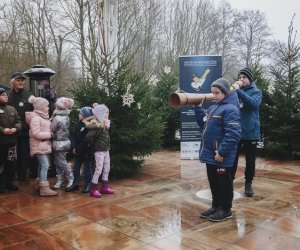 Ligawki 2017 - fotorelacja Ligawki 2017 - fotorelacja