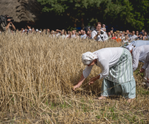 DZIAŁ HISTORII UPRAWY ROŚLIN I HODOWLI ZWIERZĄT DZIAŁ HISTORII UPRAWY ROŚLIN I HODOWLI ZWIERZĄT