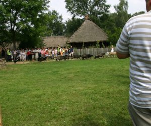 VII PODLASKIE ŚWIĘTO CHLEBA VII PODLASKIE ŚWIĘTO CHLEBA