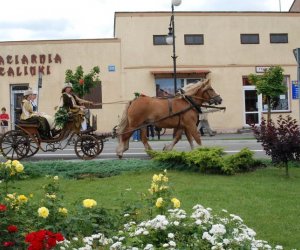 V Zajazd Wysokomazowiecki V Zajazd Wysokomazowiecki