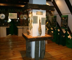 Nasza przyroda, Zagrożenia, cele i formy jej ochrony Nasza przyroda, Zagrożenia, cele i formy jej ochrony