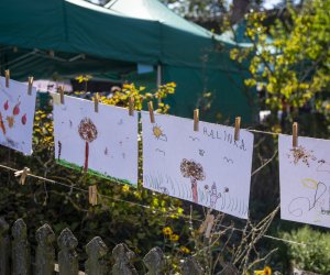 "Z kulturą ludową przez Podlasie" - fotorelacja