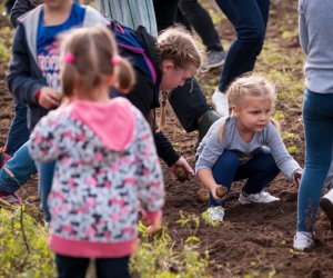 Impreza plenerowa - Jesień w Polu i Zagrodzie Impreza plenerowa - Jesień w Polu i Zagrodzie