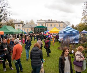 Jarmark św. Wojciecha 2016 Jarmark św. Wojciecha 2016
