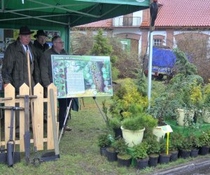 Deszczowy Jarmark Deszczowy Jarmark