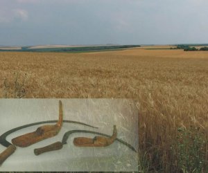 "Żniwa po bułgarsku" "Żniwa po bułgarsku"