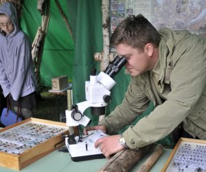 Deszczowy Jarmark Deszczowy Jarmark