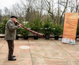 Galeria z 5 grudnia 2015 Galeria z 5 grudnia 2015