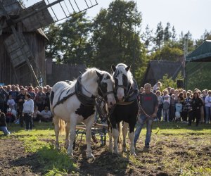 Jesień w polu i zagrodzie 2021 - fotorelacja