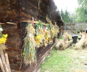 VIII PODLASKIE ŚWIĘTO CHLEBA VIII PODLASKIE ŚWIĘTO CHLEBA