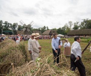 XVII Podlaskie Święto Chleba - fotorelacja XVII Podlaskie Święto Chleba - fotorelacja