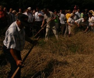 IX Podlaskie Święto Chleba IX Podlaskie Święto Chleba