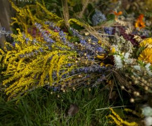 XX Podlaskie Święto Chleba - fotorelacja XX Podlaskie Święto Chleba - fotorelacja