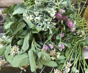 Wianki w Oktawę Bożego Ciała Wianki w Oktawę Bożego Ciała