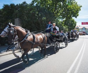 XVIII Podlaskie Święto Chleba - fotorelacja XVIII Podlaskie Święto Chleba - fotorelacja