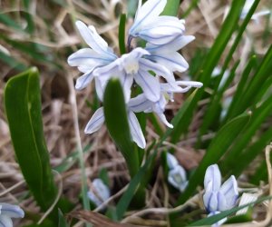 Codziennik Muzealny - Wiosna już zawitała Codziennik Muzealny - Wiosna już zawitała