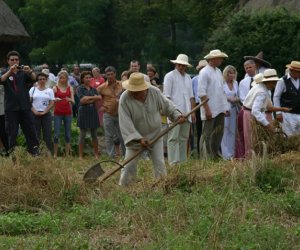 VII PODLASKIE ŚWIĘTO CHLEBA VII PODLASKIE ŚWIĘTO CHLEBA