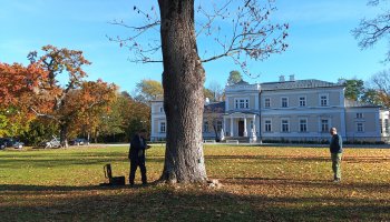 Zakończenie zadania - Konserwacja i pielęgnacja drzew