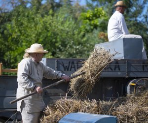 XXII Podlaskie Święto Chleba - fotorelacja XXII Podlaskie Święto Chleba - fotorelacja