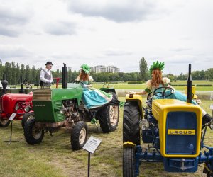 Muzeum Rolnictwa po raz kolejny na Pikniku Poznaj Dobrą Żywność Muzeum Rolnictwa po raz kolejny na Pikniku Poznaj Dobrą Żywność