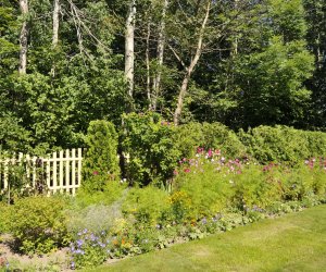 "Kwitnące Tradycje" "Kwitnące Tradycje"