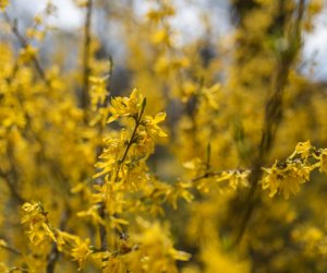 Codziennik Muzealny - Wiosna w ciechanowieckim muzeum Codziennik Muzealny - Wiosna w ciechanowieckim muzeum