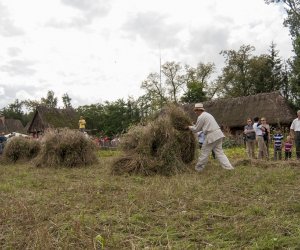 XVI Podlaskie Święto Chleba XVI Podlaskie Święto Chleba
