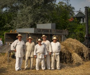XXIII Podlaskie Święto Chleba - fotorelacja XXIII Podlaskie Święto Chleba - fotorelacja