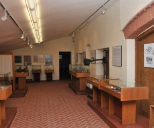 Odnowiona ekspozycja Muzeum Weterynarii Odnowiona ekspozycja Muzeum Weterynarii