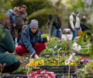Jarmark św. Wojciecha 2022 - fotorelacja Jarmark św. Wojciecha 2022 - fotorelacja
