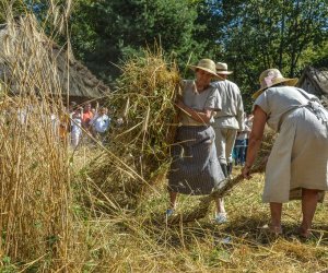 XV Podlaskie Święta Chleba w Muzeum Rolnictwa im. ks. Krzysztofa Kluka w Ciechanowcu XV Podlaskie Święta Chleba w Muzeum Rolnictwa im. ks. Krzysztofa Kluka w Ciechanowcu
