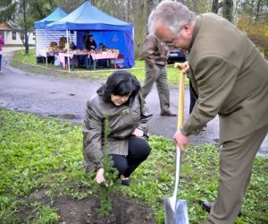 Deszczowy Jarmark Deszczowy Jarmark