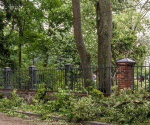 Nawałnica w Ciechanowcu Nawałnica w Ciechanowcu