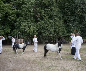 XXIII Podlaskie Święto Chleba - fotorelacja XXIII Podlaskie Święto Chleba - fotorelacja