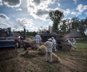 XVIII Podlaskie Święto Chleba - fotorelacja XVIII Podlaskie Święto Chleba - fotorelacja