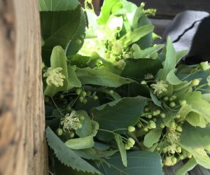 Wianki w Oktawę Bożego Ciała Wianki w Oktawę Bożego Ciała