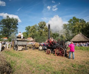 XVIII Podlaskie Święto Chleba - fotorelacja XVIII Podlaskie Święto Chleba - fotorelacja