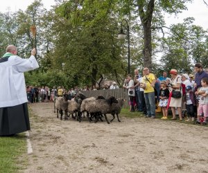 XVI Podlaskie Święto Chleba XVI Podlaskie Święto Chleba