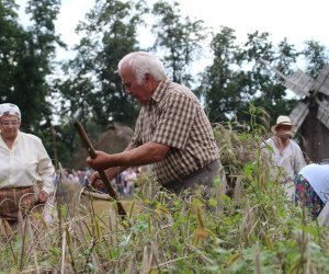 XVI Podlaskie Święto Chleba XVI Podlaskie Święto Chleba