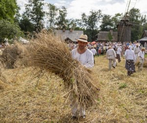 XXI Podlaskie Święto Chleba - fotorelacja XXI Podlaskie Święto Chleba - fotorelacja